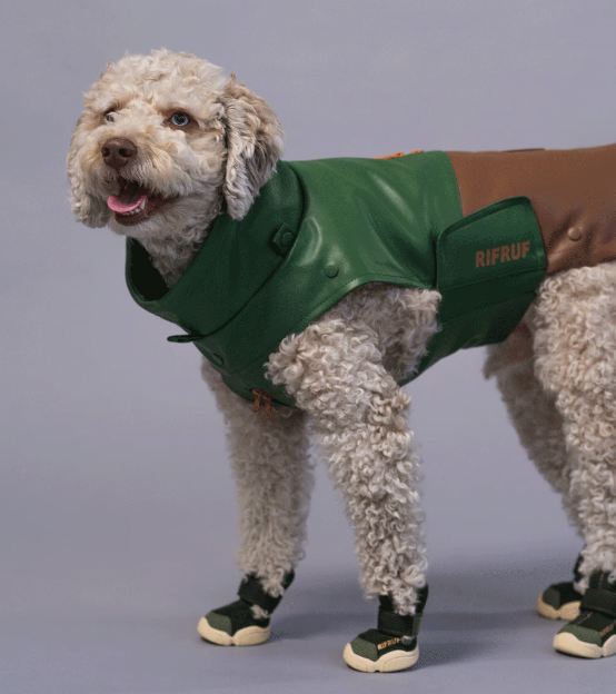Caesar 1 Dog Shoes | RifRuf — Puppy Picnic Co.